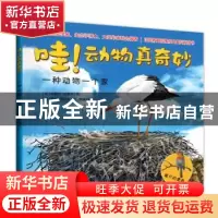 正版 一种动物一个家 (法)米歇尔·拉里尔著 四川文艺出版社 97875