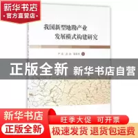 正版 我国新型地勘产业发展模式构建研究 严良,武剑,邹泉华 著