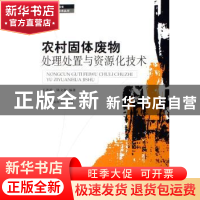 正版 农村固体废物处理处置与资源化技术 王洪涛,陆文静 中国环