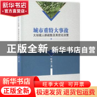 正版 城市重特大事故大规模人群疏散及其优化决策 叶永著 中国社