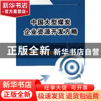 正版 中国大型煤炭企业资源开发方略 杨德玉 企业管理出版社 9787