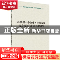 正版 科技型中小企业可持续性发展的动力机制与扩散机制研究 王丽