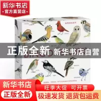 正版 BINGO!鸟儿游戏 (英)麦克·昂温文 北京联合出版公司 978755