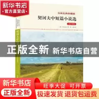 正版 契诃夫中短篇小说选:英汉双语 契诃夫 著 北京工业大学出版