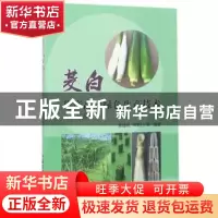 正版 茭白稳产高效绿色生产技术:彩图版 陈建明,邓曹仁等编著