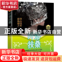 正版 叶落扶桑:二:望山没有南风巷 刘滴川 江苏凤凰文艺出版社 97