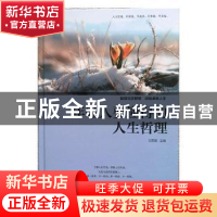 正版 年轻人要懂得的人生哲理 文思源主编 沈阳出版社 9787544179