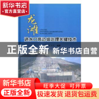 正版 龙滩进水口高边坡治理关键技术 赵红敏,夏宏良编著 中国水