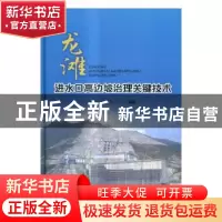 正版 龙滩进水口高边坡治理关键技术 赵红敏,夏宏良编著 中国水