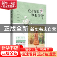 正版 你若懂我,该有多好 清枫语 著 江苏文艺出版社 9787539977