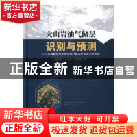 正版 火山岩油气储层识别与预测:以准噶尔西北缘中拐凸起石炭系火