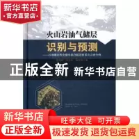 正版 火山岩油气储层识别与预测:以准噶尔西北缘中拐凸起石炭系火