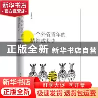 正版 一个外省青年的精神成长史 袁复生 天地出版社 978754552145