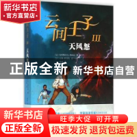 正版 云间王子:Ⅲ:天风怒 (法)克里斯多夫·加尔法著 人民文学出版
