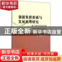 正版 创新集群形成与发展机理研究:基于复杂网络视角 董微微著 经