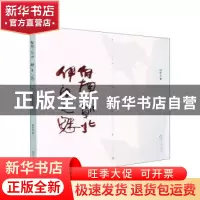 正版 向南朝北伊康之魅:何怀东摄影集 何怀东著 阳光出版社 97875