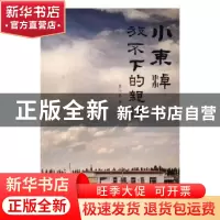正版 小东淖:放不下的亲情 李小东 等 中国国际广播出版社 97875