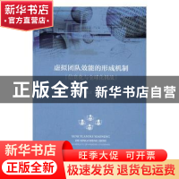 正版 虚拟团队效能的形成机制:信息化与全球化挑战 李杰义 经济