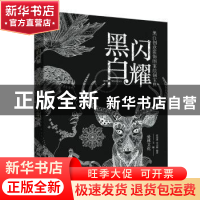 正版 黑白闪耀:黑白创意装饰图案绘制宝典 贾慧萍,李司媛,爱林文