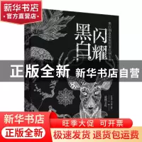 正版 黑白闪耀:黑白创意装饰图案绘制宝典 贾慧萍,李司媛,爱林文