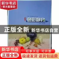 正版 色彩静物 武兆丹,王志礼编著 黑龙江美术出版社 9787531863