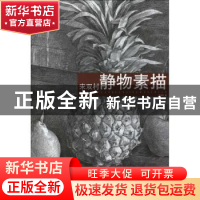 正版 宋双村静物素描 宋双村著 山东美术出版社 9787533029