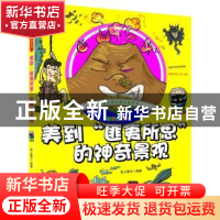 正版 美到“匪夷所思”的神奇景观 纸上魔方 北京理工大学出版社