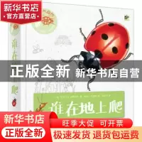 正版 身边的大自然 谁在地上爬(全彩) (德)芭贝尔·奥弗特林著
