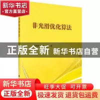 正版 非光滑优化算法 袁功林,盛洲著 科学出版社 9787030540881