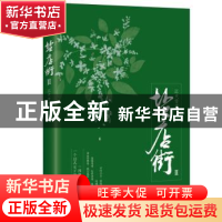 正版 盐店街:Ⅱ 江天雪意著 北京联合出版公司 9787559609779 书