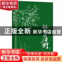 正版 盐店街:Ⅱ 江天雪意著 北京联合出版公司 9787559609779 书