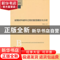 正版 玻璃材料破坏过程的数值模拟与分析 李维红著 北京师范大学