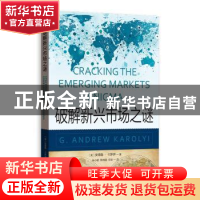 正版 破解新兴市场之谜 安德鲁·卡罗伊 著,朱小能,陈选娟,邓辛
