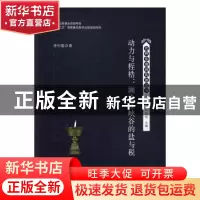 正版 动力与桎梏:澜沧江峡谷的盐与税 李何春 中山大学出版社 97
