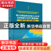 正版 鄂尔多斯盆地东南部上古生界沉积储层与天然气富集规律 王香