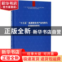 正版 “十三五”能源新技术产业培育与发展规划研究 彭苏萍 等 科