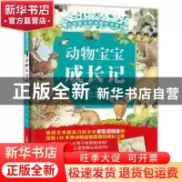 正版 动物宝宝成长记 (比)蕾妮·哈伊尔绘著 新疆青少年出版社 978