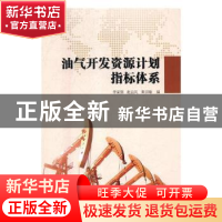 正版 油气开发资源计划指标体系 李家强,赵益民,秦宗瑜编 中国