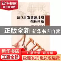 正版 油气开发资源计划指标体系 李家强,赵益民,秦宗瑜编 中国