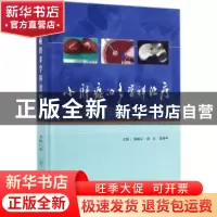 正版 小肝癌的多学科治疗 周琦 著 中国建筑工业出版社 978711724