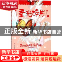 正版 圣光碎片 丛琳琳著 四川文艺出版社 9787541146015 书籍