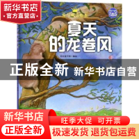 正版 夏天的龙卷风 品悦童书馆编绘 浙江摄影出版社 978755141815