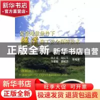 正版 复杂地质条件下隧道施工安全保障技术 林才奎 人民交通出版