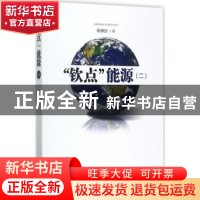 正版 “钦点”能源:二 陈柳钦著 知识产权出版社 9787513050159