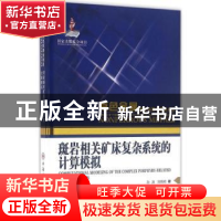 正版 斑岩相关矿床复杂系统的计算模拟 孙涛,刘亮明著 中南大学