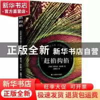正版 赶掐抅掐 [印]维韦克·尚巴格 上海译文出版社 9787532784783