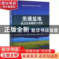 正版 羌塘盆地重点区块调查与评价 王剑//孙伟//付修根//谭富文