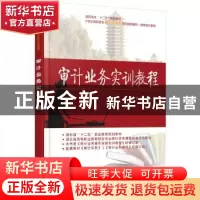 正版 审计业务实训教程 涂申清编著 北京大学出版社 978730118480