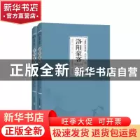 正版 洛阳豪客:舞剑飞花录 王度庐 北岳文艺出版社 9787537848350