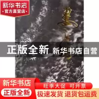 正版 中国当代名家画集:娄正纲 绘画:娄正纲 人民美术出版社 9787